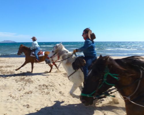 galope-ofelia-manolo-2